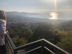 Consulting Immobilien Montenegro Tivat Real Estate